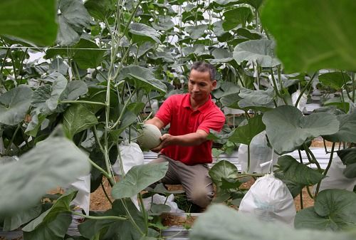 喜看連樟村 今日面貌新 機械設(shè)備研發(fā)助推鄉(xiāng)村振興