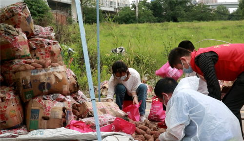 大愛接力 武漢志愿者團助力臨沂農(nóng)副產(chǎn)品銷售，推動機械設(shè)備研發(fā)