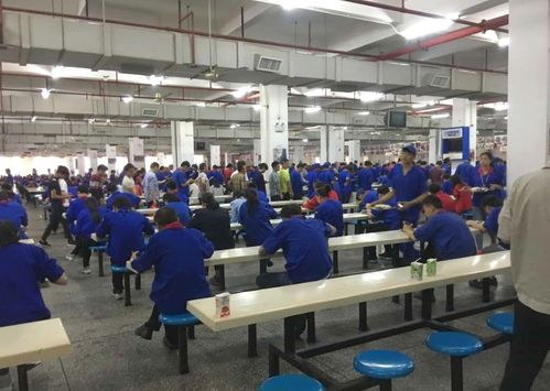 月薪八千背后的深圳奮斗觀 事業(yè)為上，婚戀?gòu)膶? />
</span>
<span id=