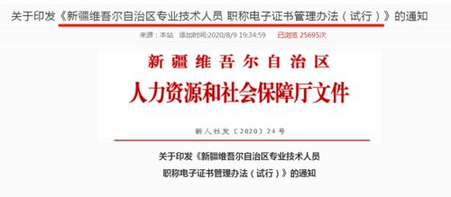會(huì)計(jì)初級(jí)考生福音 信息技術(shù)咨詢服務(wù)助力證書查詢與打印